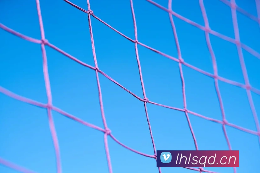 詹姆斯浓眉合砍60分仍输球！湖人防守崩盘不敌老鹰，季后赛前景蒙阴影